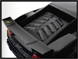 Silnika, Lamborghini Gallardo, Pokrywa